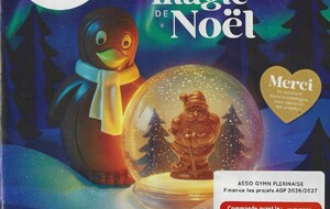 Chocolats de Noël