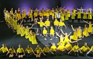 Tous les gymnastes regroupés pour le salut final !