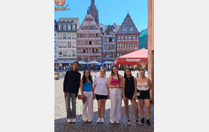 Visite touristique de Francfort